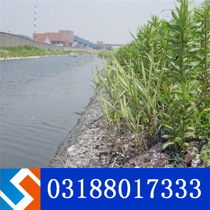 生態(tài)格網(wǎng) 生態(tài)格網(wǎng)